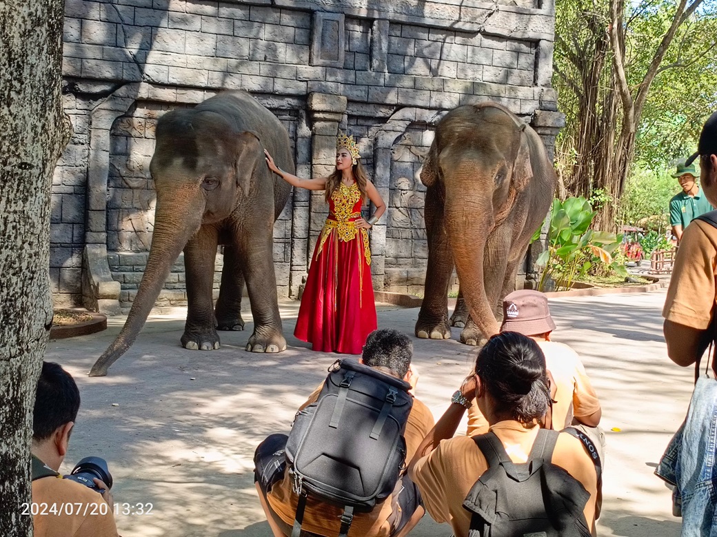 International Animal Photo & Video Competition (IAPVC) Taman Safari Indonesia ke-33 Bertema Soul of the Wild di Solo Safari